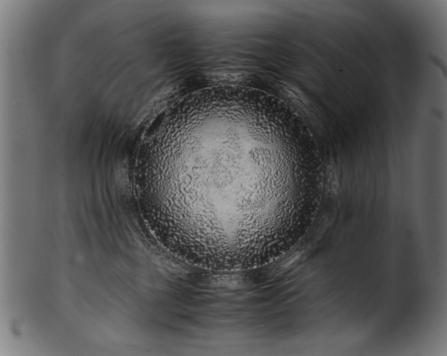 X0000100950377200806241509