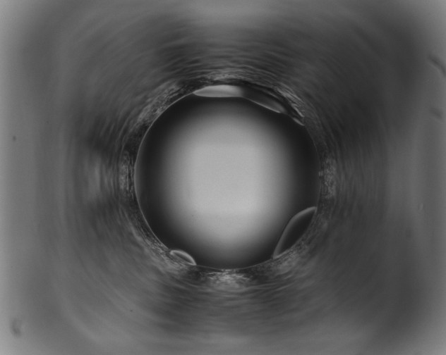 X0000100950379200806241509