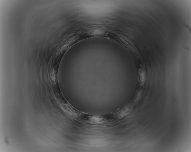 X0000100950380200806241509