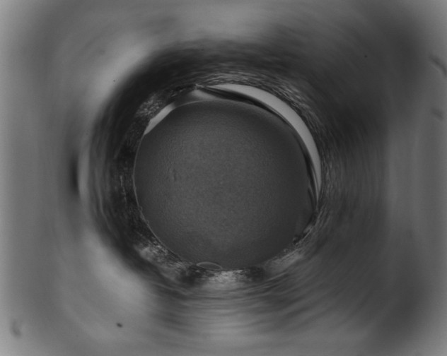 X0000100950382200806241509