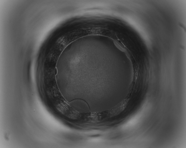 X0000100950383200806241509