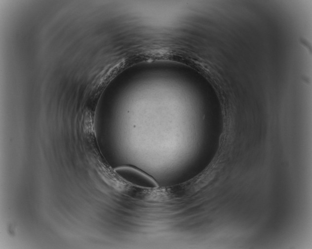 X0000100950384200806241509