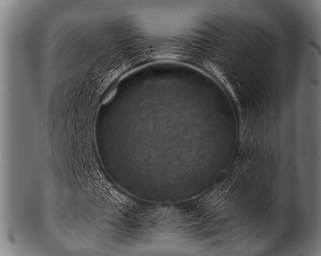 X0000100950385200806241509
