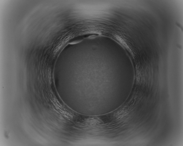 X0000100950386200806241509