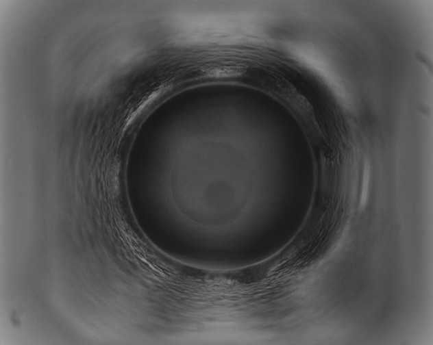 X0000100950387200806241508