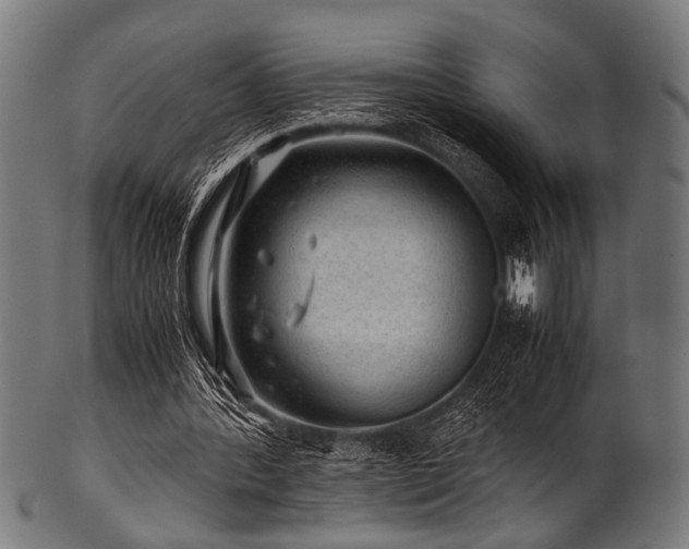 X0000100950388200806241508