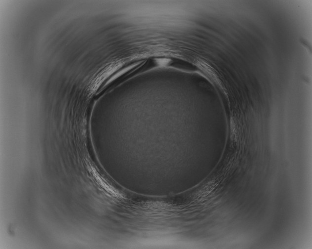 X0000100950389200806241508