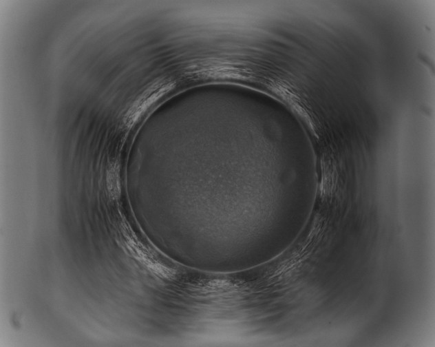 X0000100950390200806241508