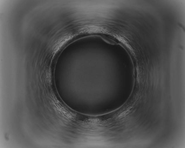 X0000100950391200806241508