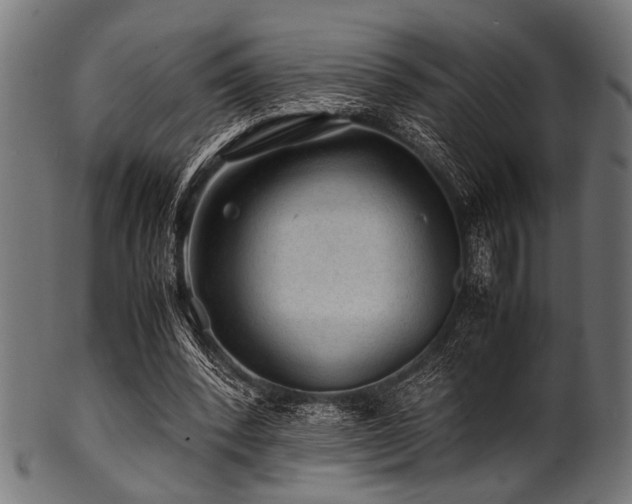 X0000100950392200806241508