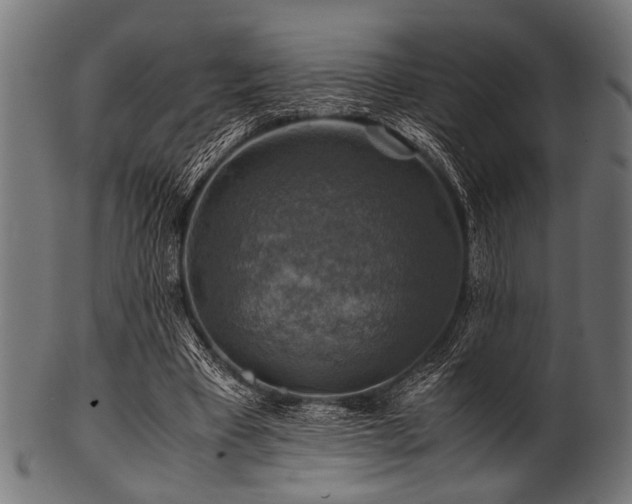 X0000100950393200806241508