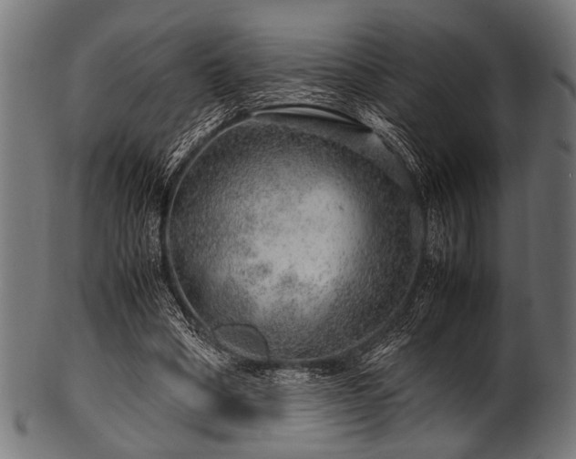 X0000100950394200806241508