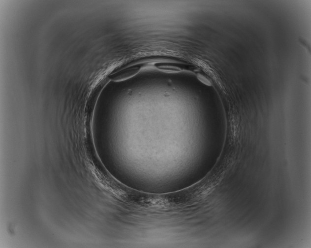 X0000100950395200806241508