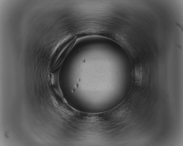 X0000100950396200806241508