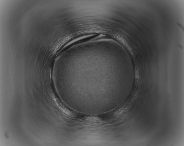 X0000100950397200806241508