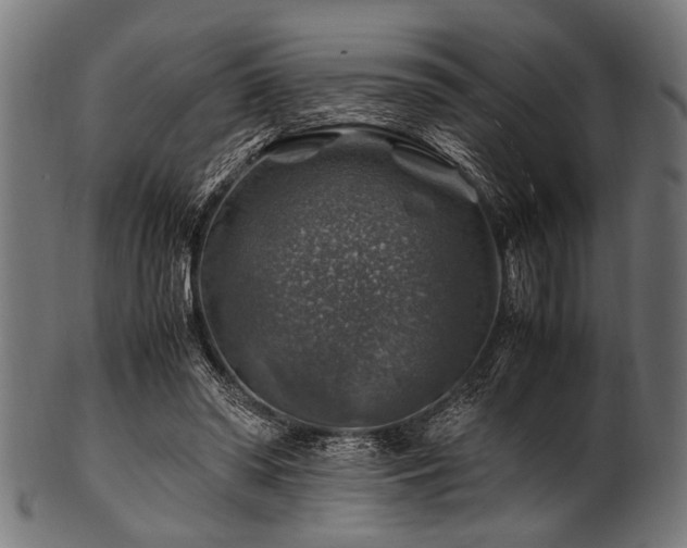 X0000100950398200806241508