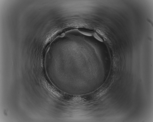 X0000100950399200806241508