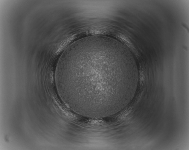 X0000100950401200806241508
