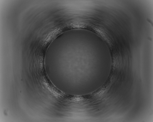 X0000100950402200806241508