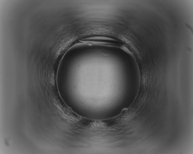 X0000100950403200806241508