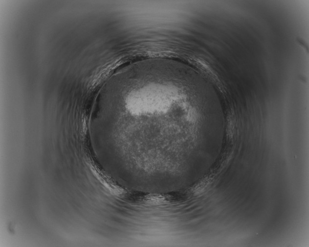X0000100950405200806241508