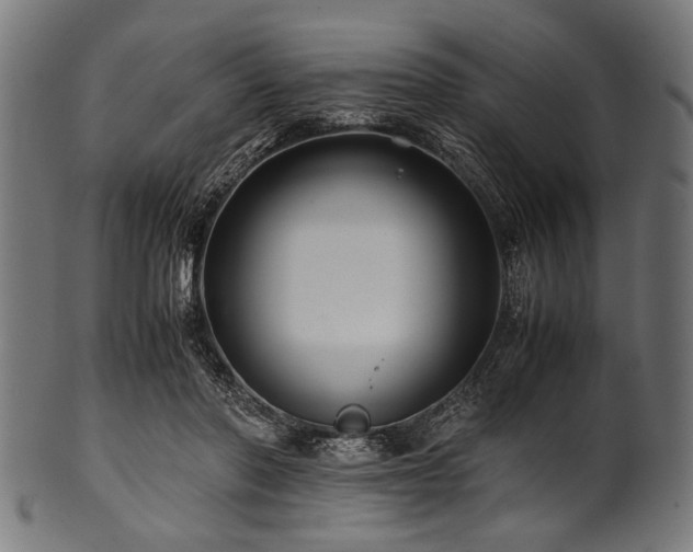 X0000100950406200806241508