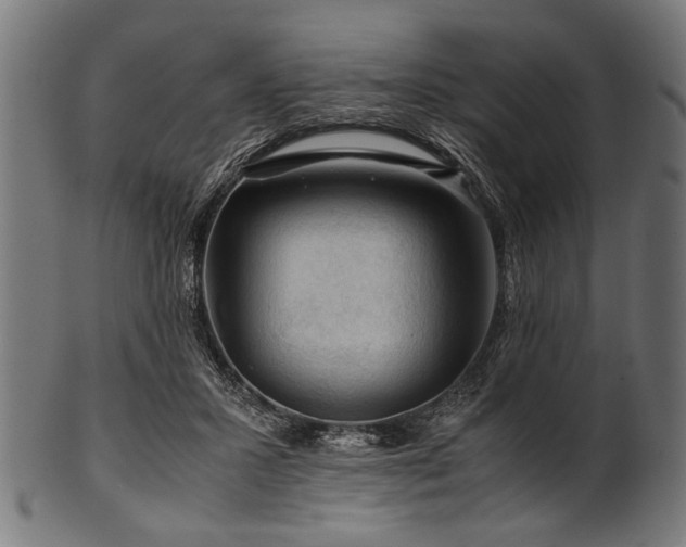 X0000100950407200806241508