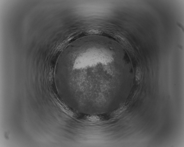 X0000100950409200806241508