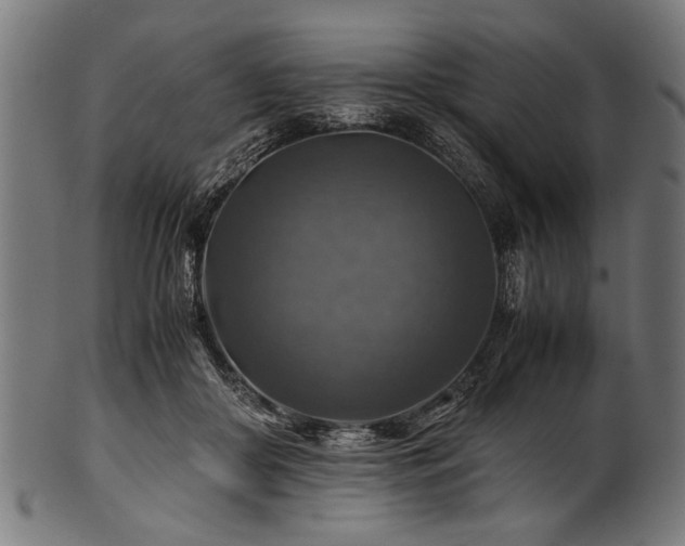X0000100950410200806241508