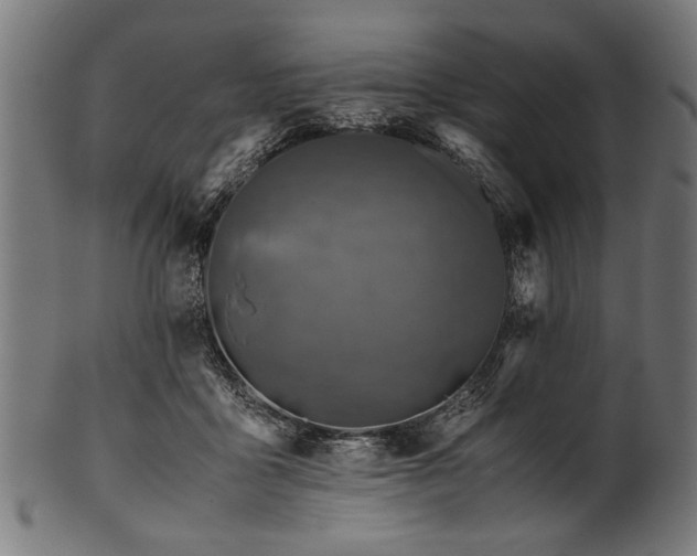 X0000100950411200806241508