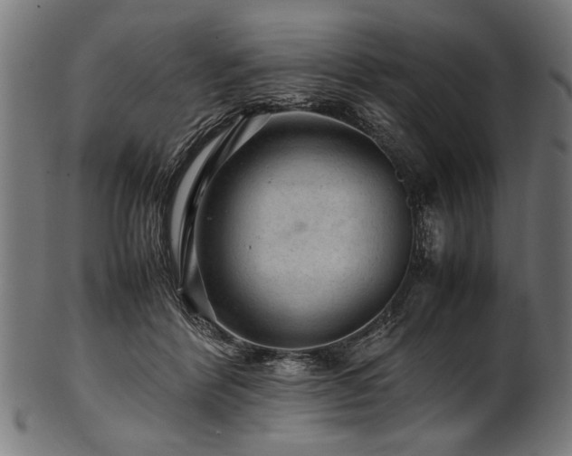 X0000100950412200806241508