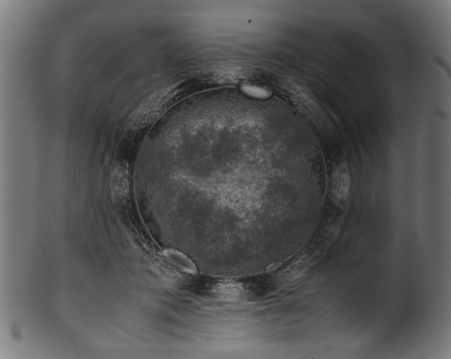 X0000100950413200806241508