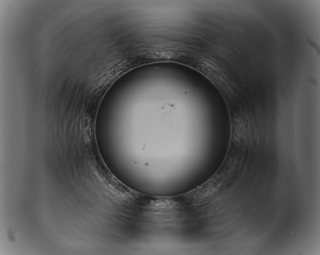 X0000100950414200806241508