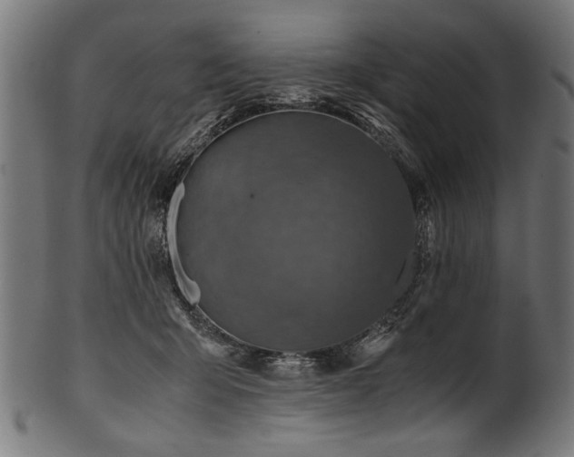 X0000100950415200806241508