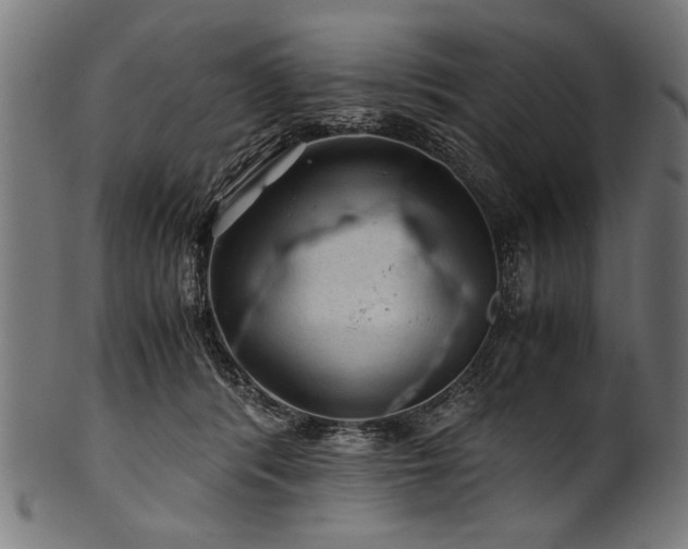 X0000100950416200806241508