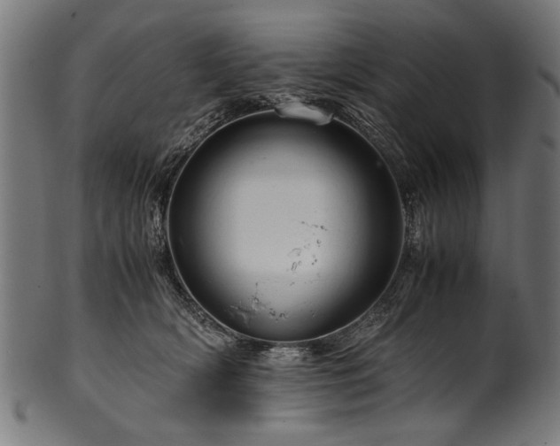 X0000100950418200806241508