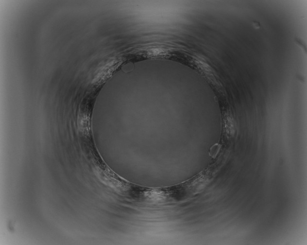 X0000100950419200806241508