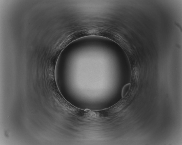 X0000100950421200806241508