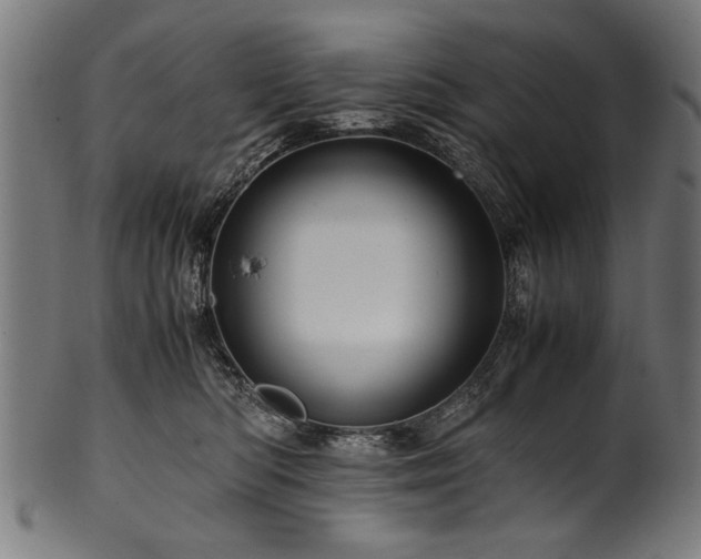 X0000100950422200806241508