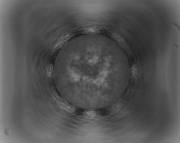 X0000100950423200806241508