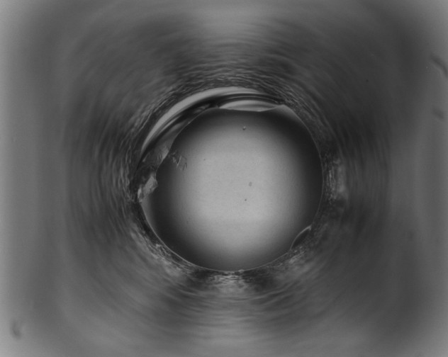 X0000100950424200806241508