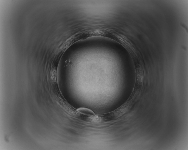 X0000100950425200806241508