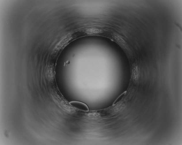 X0000100950426200806241508