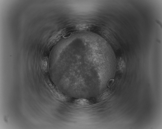 X0000100950427200806241508