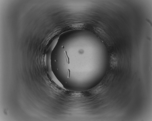 X0000100950428200806241508