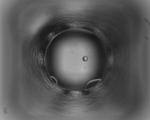 X0000100950429200806241508