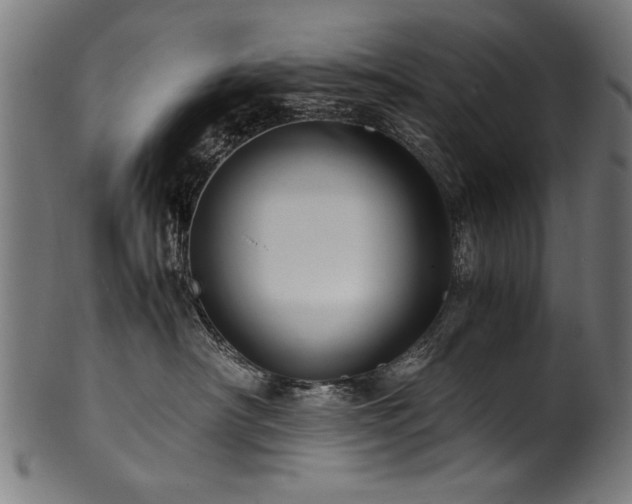 X0000100950430200806241508