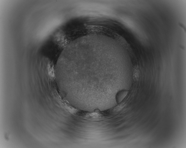 X0000100950431200806241508