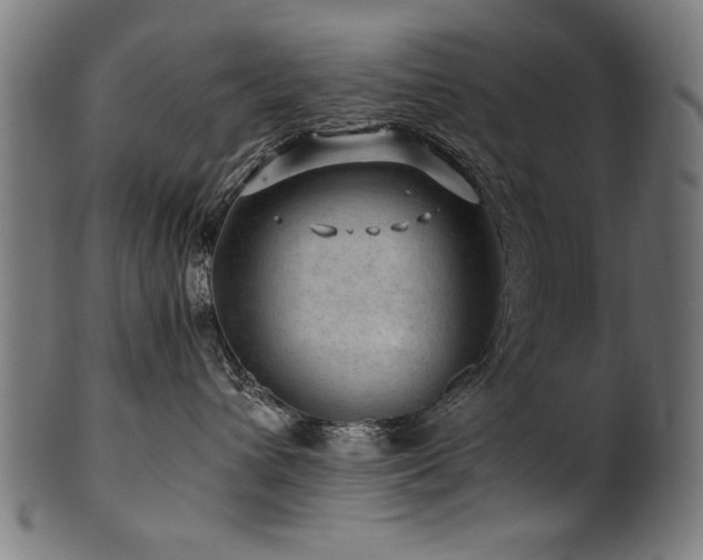 X0000100950432200806241508
