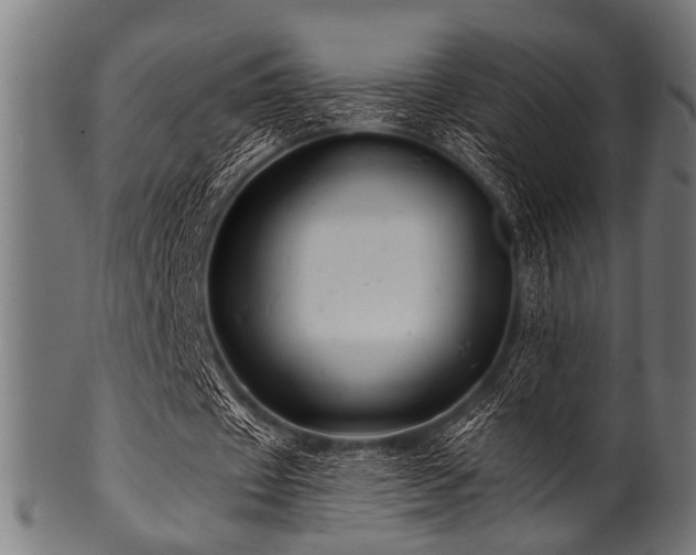 X0000100950433200806241507